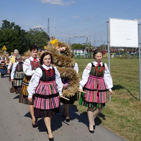 Wyświetl org. rozmiar