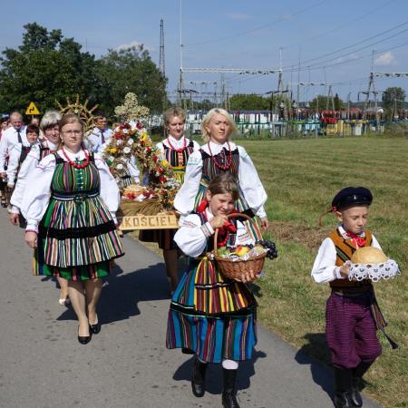 Wyświetl org. rozmiar