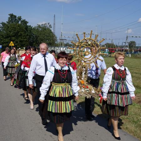 Wyświetl org. rozmiar