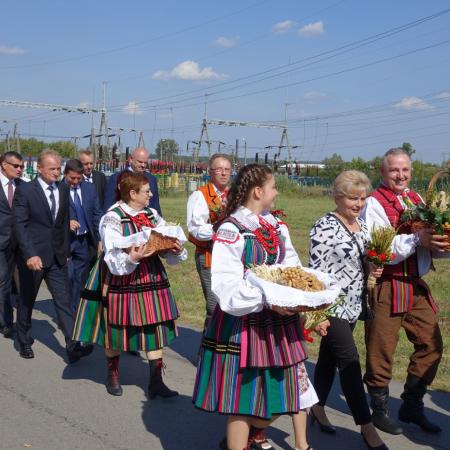 Wyświetl org. rozmiar