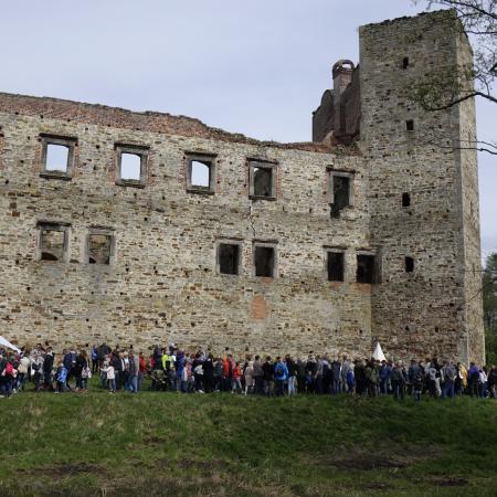 Wyświetl org. rozmiar