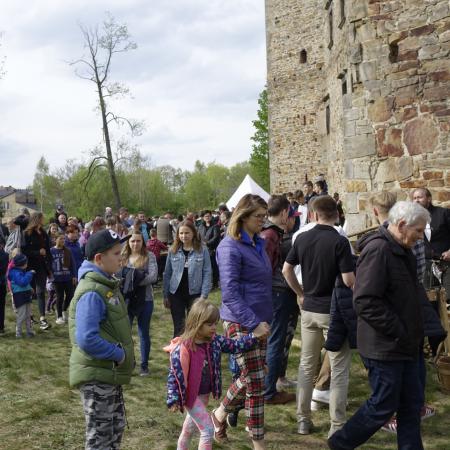 Wyświetl org. rozmiar