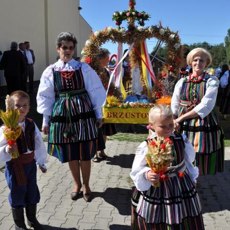 Wyświetl org. rozmiar