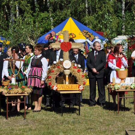 Wyświetl org. rozmiar