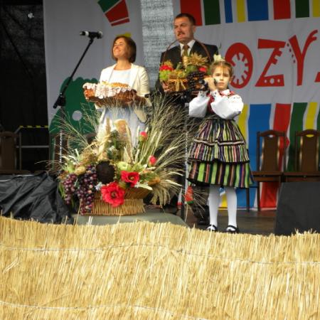 Wyświetl org. rozmiar