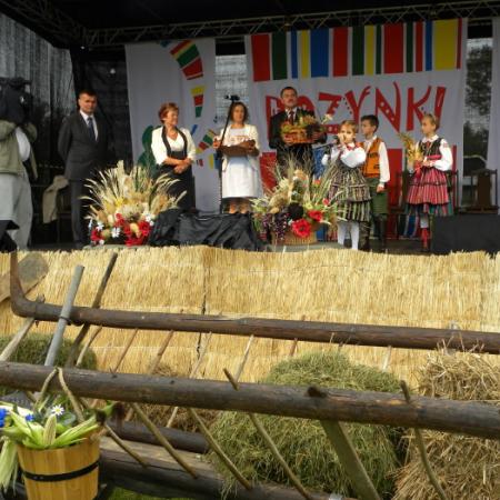 Wyświetl org. rozmiar