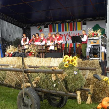 Wyświetl org. rozmiar