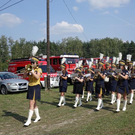 Wyświetl org. rozmiar