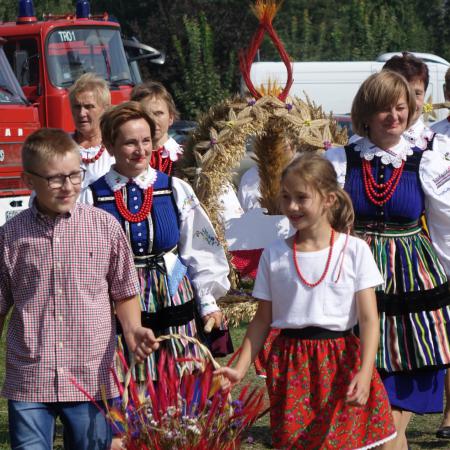 Wyświetl org. rozmiar