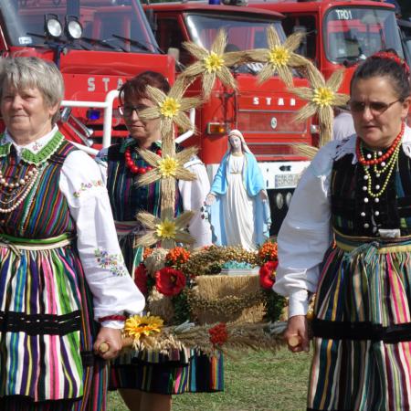 Wyświetl org. rozmiar