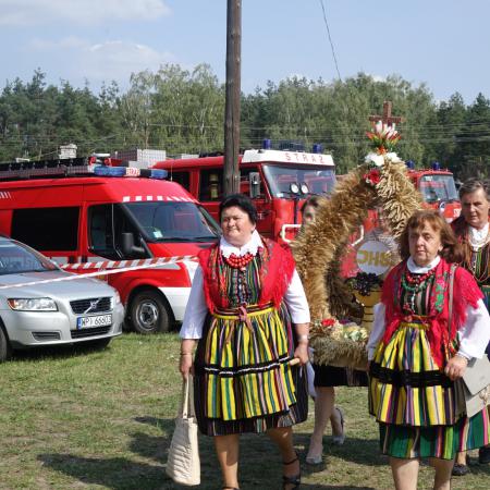 Wyświetl org. rozmiar