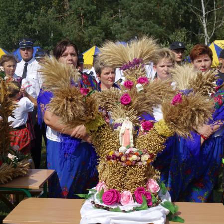 Wyświetl org. rozmiar