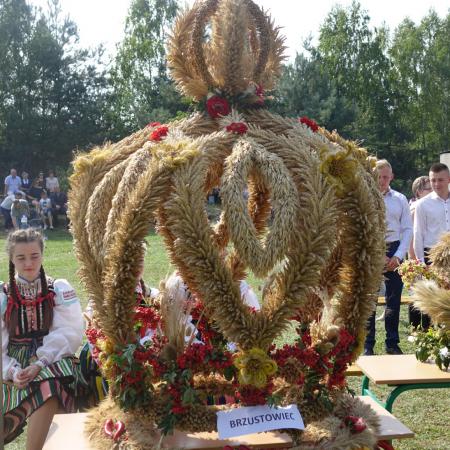 Wyświetl org. rozmiar