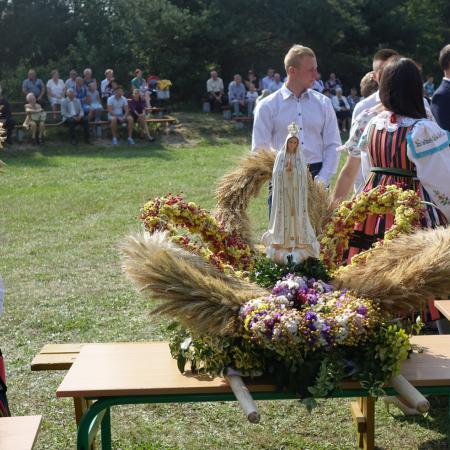 Wyświetl org. rozmiar