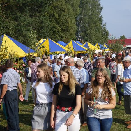 Wyświetl org. rozmiar