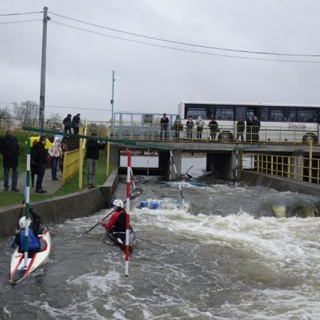 Wyświetl org. rozmiar