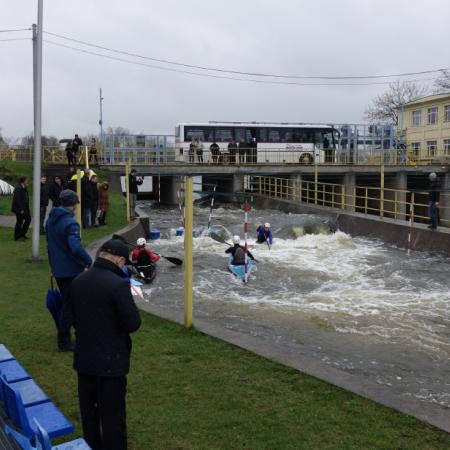 Wyświetl org. rozmiar