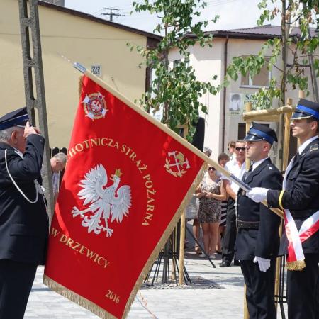 Wyświetl org. rozmiar