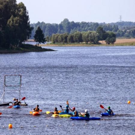 Wyświetl org. rozmiar