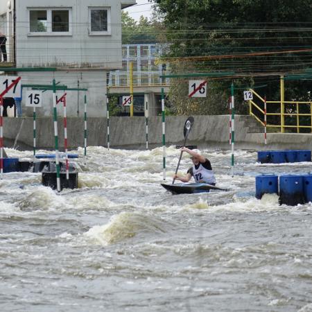 Wyświetl org. rozmiar