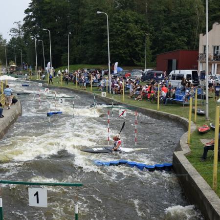 Wyświetl org. rozmiar