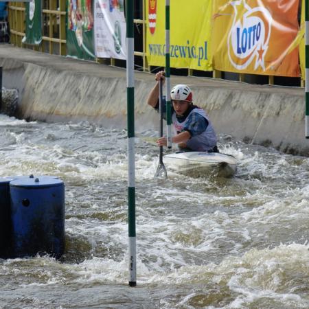 Wyświetl org. rozmiar