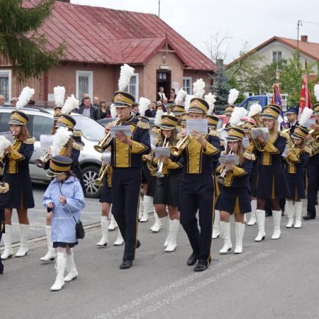 Wyświetl org. rozmiar