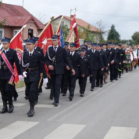 Wyświetl org. rozmiar