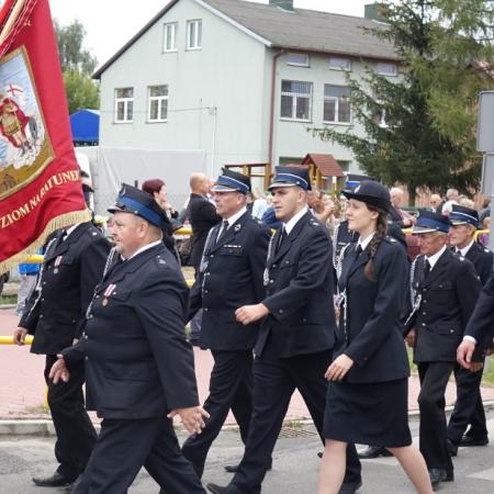 Wyświetl org. rozmiar