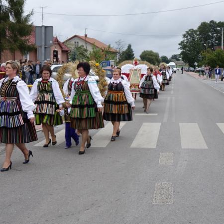 Wyświetl org. rozmiar