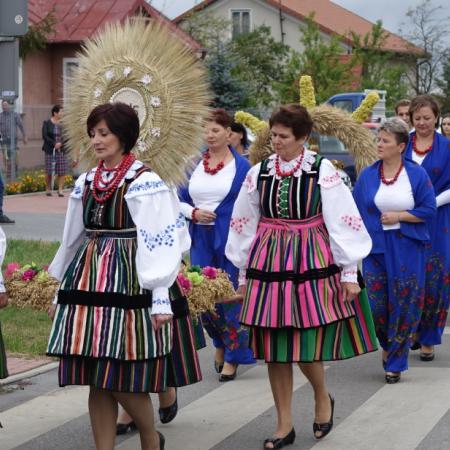 Wyświetl org. rozmiar