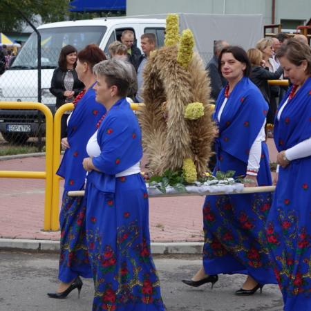 Wyświetl org. rozmiar