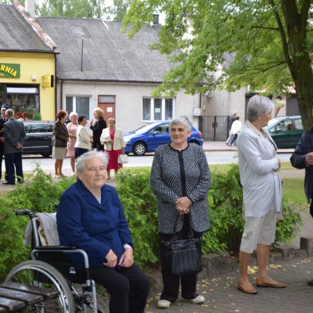 Wyświetl org. rozmiar