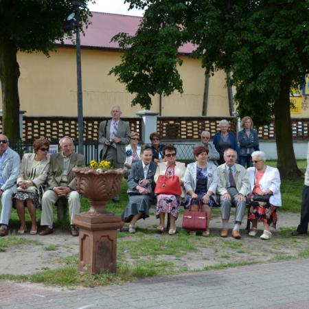 Wyświetl org. rozmiar