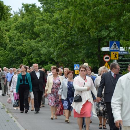 Wyświetl org. rozmiar