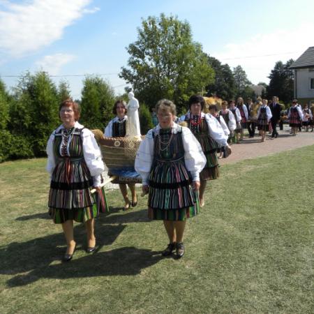 Wyświetl org. rozmiar