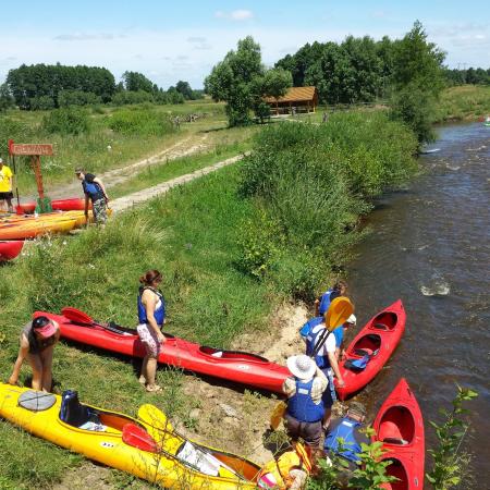 Wyświetl org. rozmiar