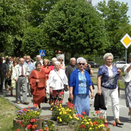 Wyświetl org. rozmiar