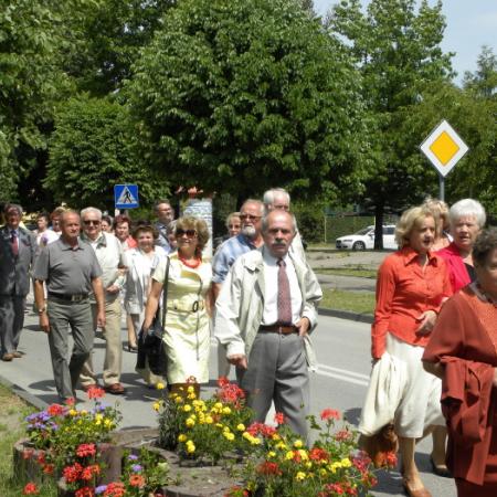 Wyświetl org. rozmiar