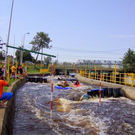 Wyświetl org. rozmiar